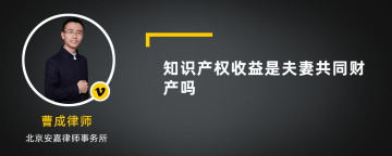 知识产权收益是夫妻共同财产吗