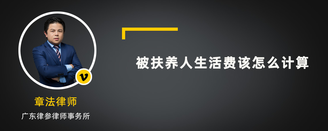 被扶养人生活费该怎么计算