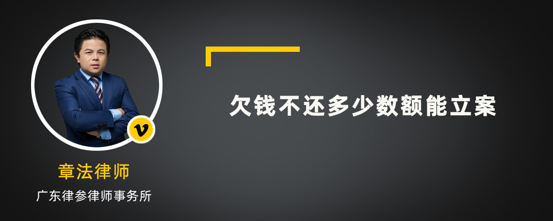 欠钱不还多少数额能立案