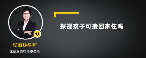 探视孩子可接回家住吗