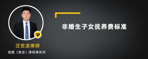 非婚生子女抚养费标准