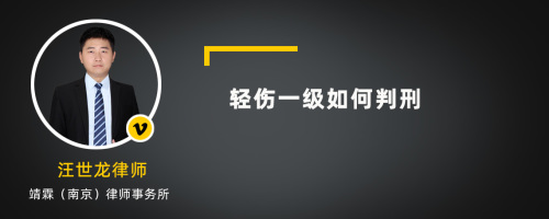 轻伤一级如何判刑