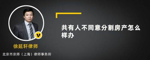 共有人不同意分割房产怎么样办