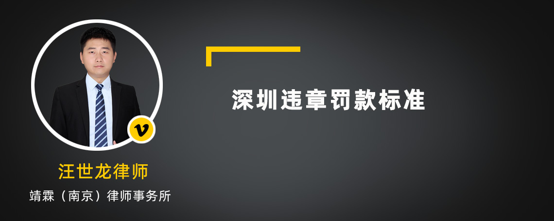 深圳违章罚款标准