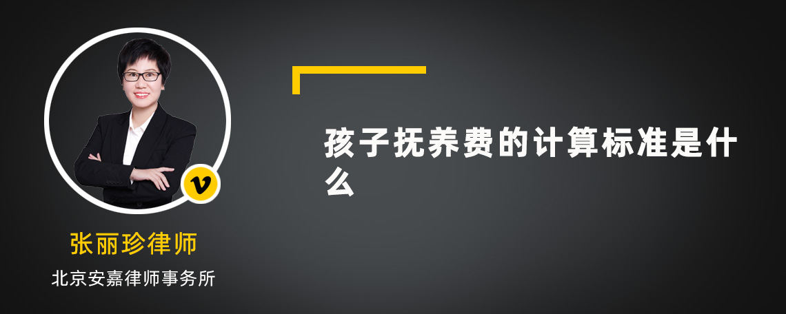 孩子抚养费的计算标准是什么