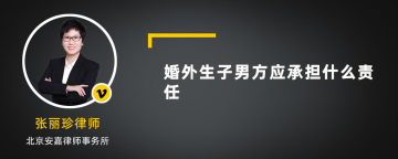 婚外生子男方应承担什么责任