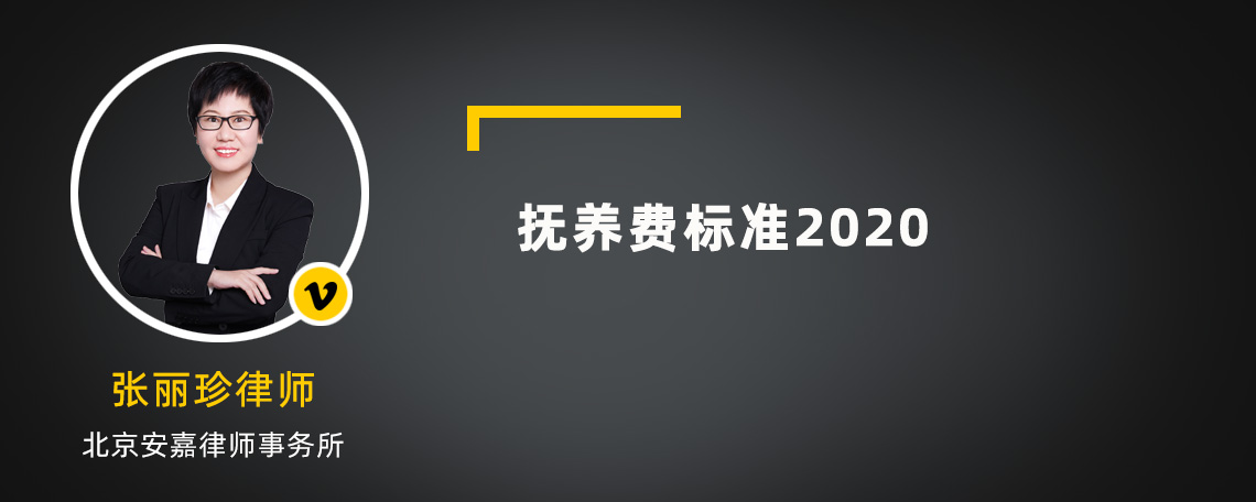 抚养费标准2020