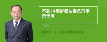 不到14周岁犯法要负刑事责任吗