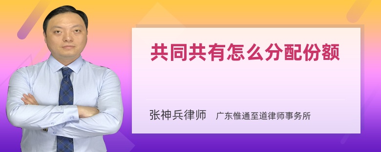 共同共有怎么分配份额