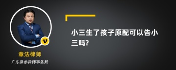 小三生了孩子原配可以告小三吗?