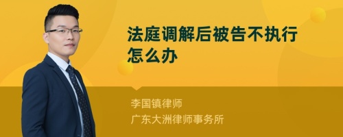 法庭调解后被告不执行怎么办