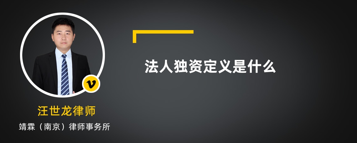 法人独资定义是什么
