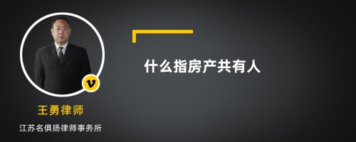 什么指房产共有人