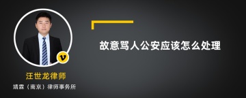 故意骂人公安应该怎么处理