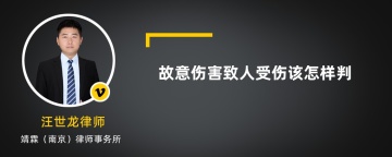 故意伤害致人受伤该怎样判