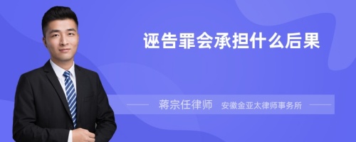 诬告罪会承担什么后果