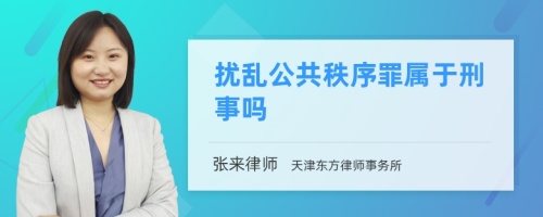 扰乱公共秩序罪属于刑事吗