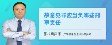 故意犯罪应当负哪些刑事责任