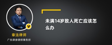 未满14岁致人死亡应该怎么办