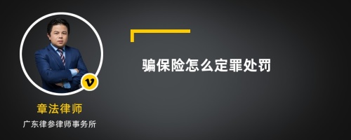 骗保险怎么定罪处罚