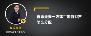 再婚夫妻一方死亡婚前财产怎么分配