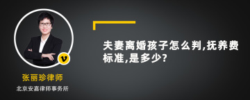 夫妻离婚孩子怎么判,抚养费标准,是多少?