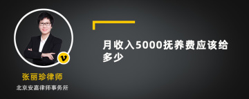 月收入5000抚养费应该给多少