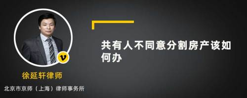 共有人不同意分割房产该如何办