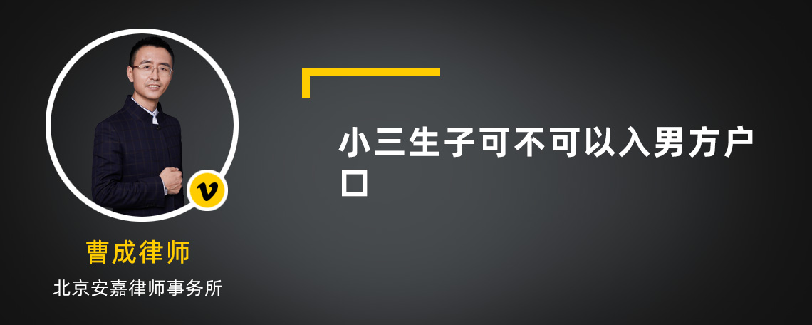 小三生子可不可以入男方户口