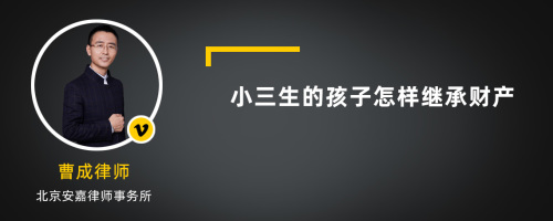 小三生的孩子怎样继承财产