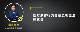 医疗欺诈行为需要负哪些法律责任