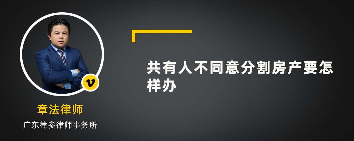 共有人不同意分割房产要怎样办