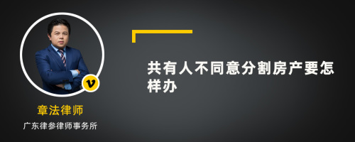 共有人不同意分割房产要怎样办