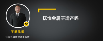 抚恤金属于遗产吗