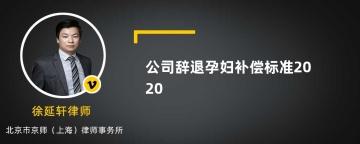 公司辞退孕妇补偿标准2020