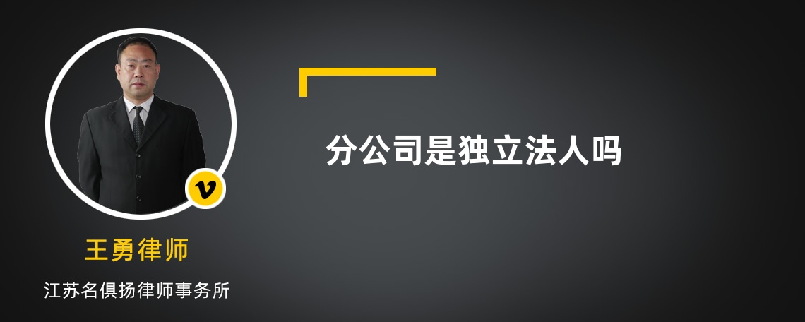 分公司是独立法人吗