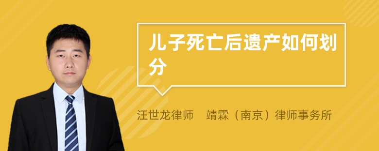 儿子死亡后遗产如何划分