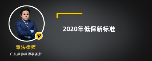 2020年低保新标准