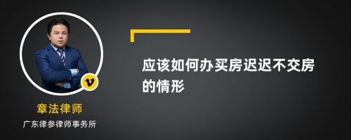 应该如何办买房迟迟不交房的情形