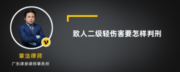 致人二级轻伤害要怎样判刑