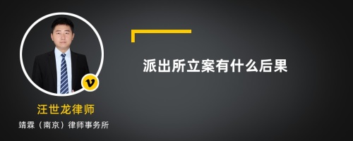 派出所立案有什么后果