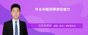 什么叫做刑事责任能力