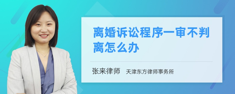 离婚诉讼程序一审不判离怎么办