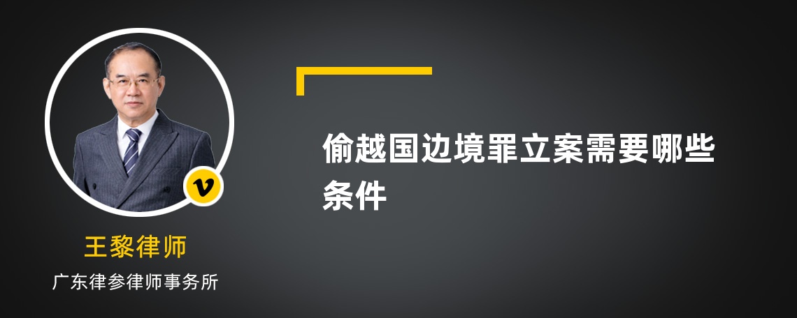 偷越国边境罪立案需要哪些条件