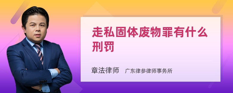 走私固体废物罪有什么刑罚