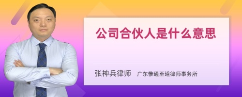 公司合伙人是什么意思