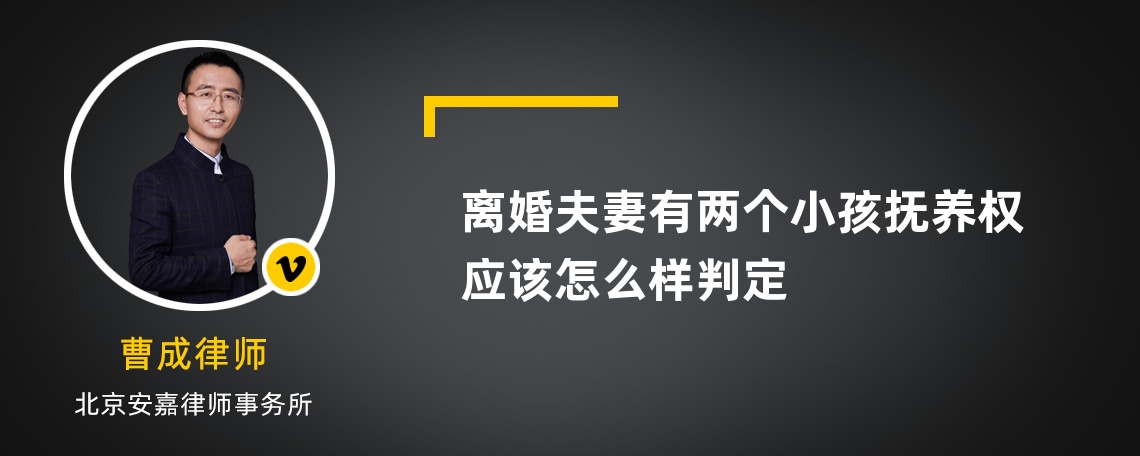 离婚夫妻有两个小孩抚养权应该怎么样判定