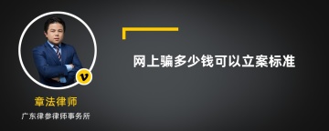 网上骗多少钱可以立案标准