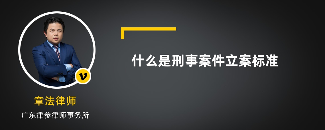 什么是刑事案件立案标准