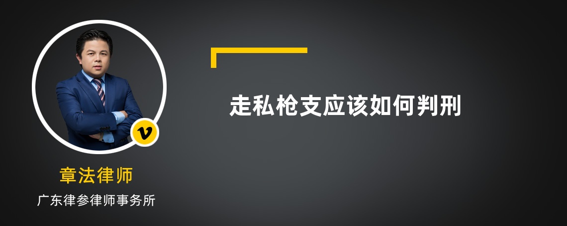 走私枪支应该如何判刑